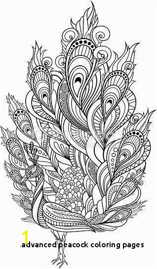 Advanced Peacock Coloring Pages Advanced Peacock Coloring Pages New Printable Cds 0d – Fun