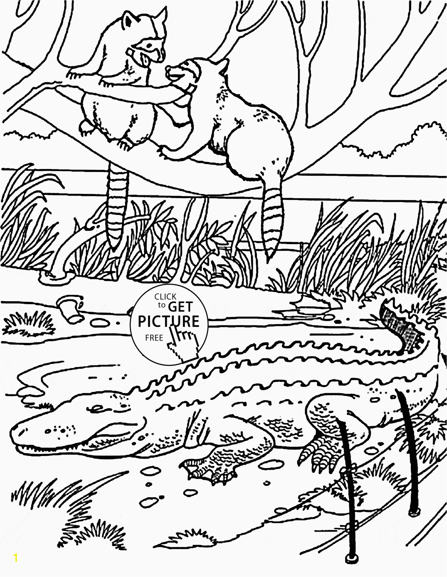 Alligator Gar Coloring Page Alligator Coloring Pages