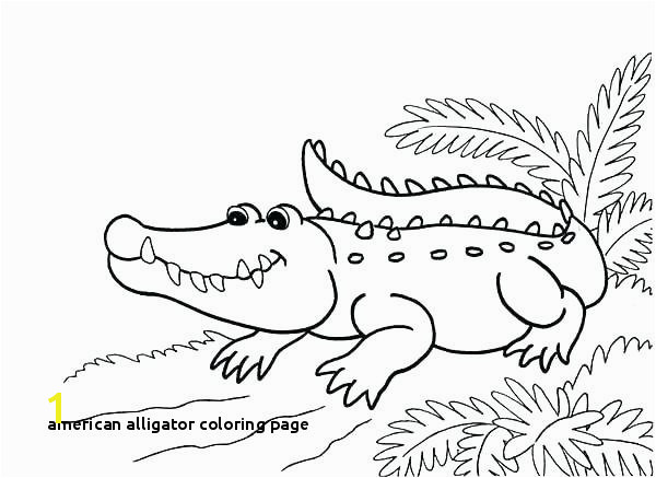 American Alligator Coloring Page 30 American Alligator Coloring Page