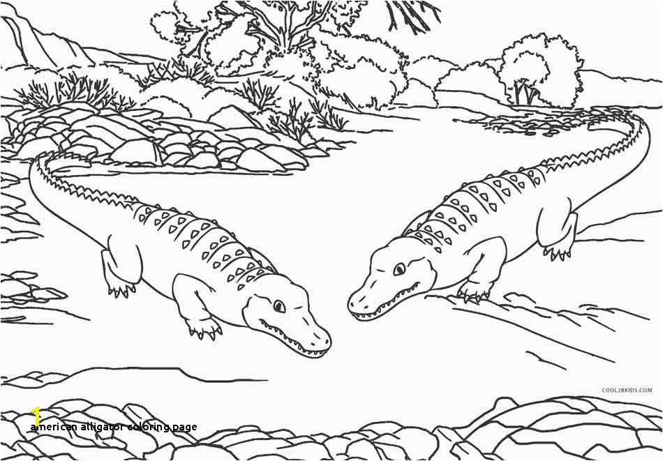 American Alligator Coloring Page 30 American Alligator Coloring Page