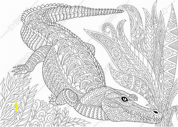 Crocodile Alligator Coloring Page Adult by ColoringPageExpress