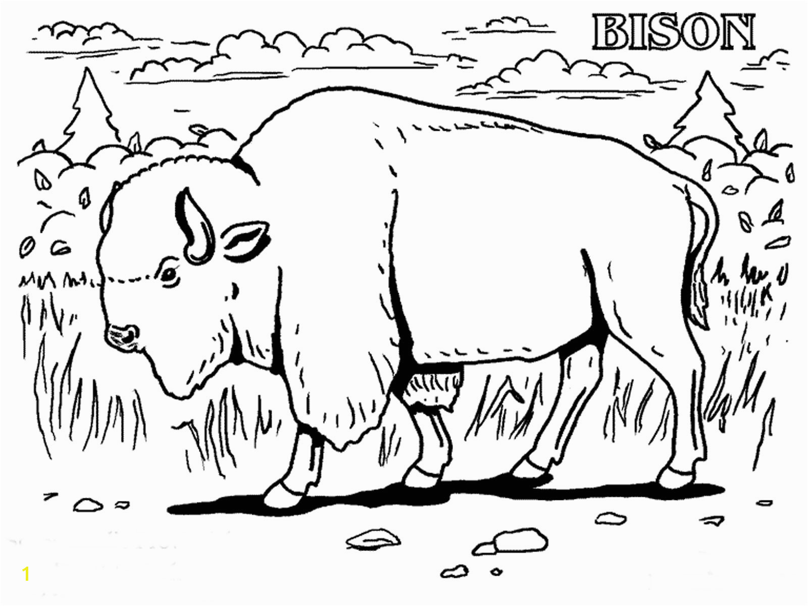 free printable bison coloring pages for kidsbison coloring pages