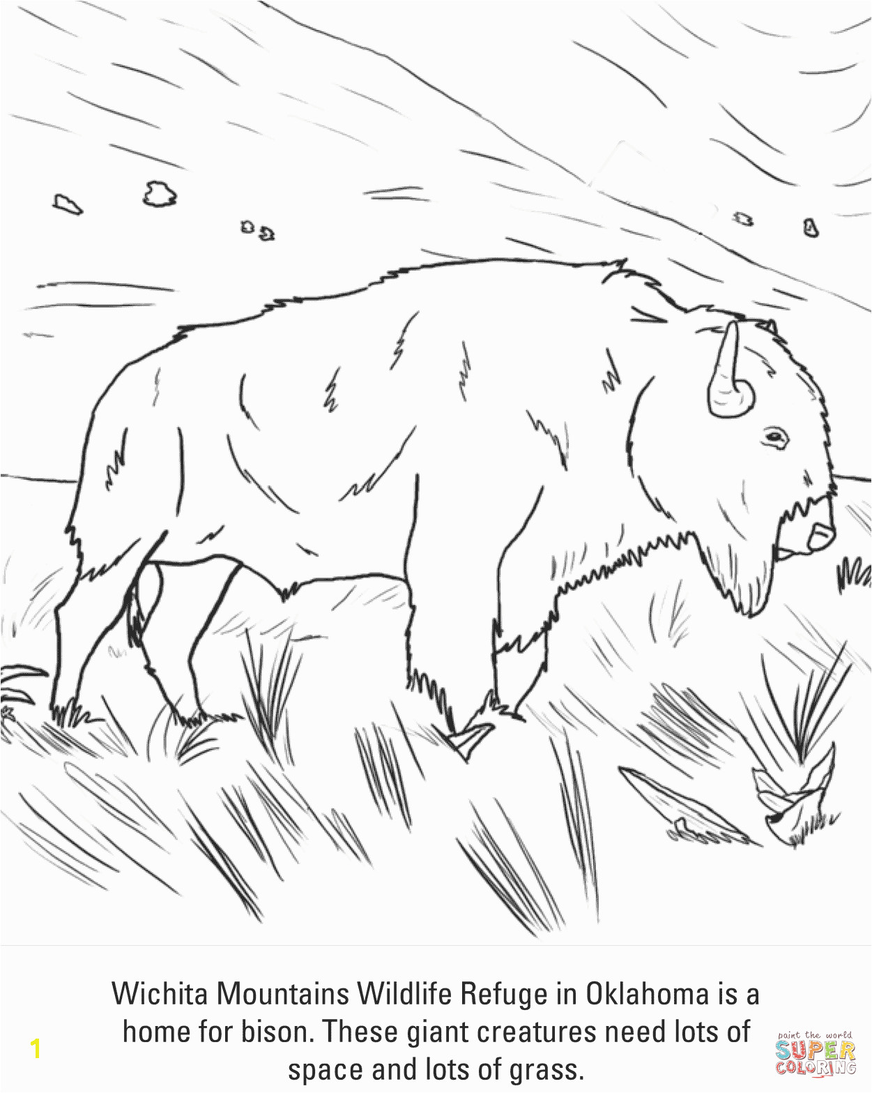 American Bison Coloring Page Bison Coloring Page