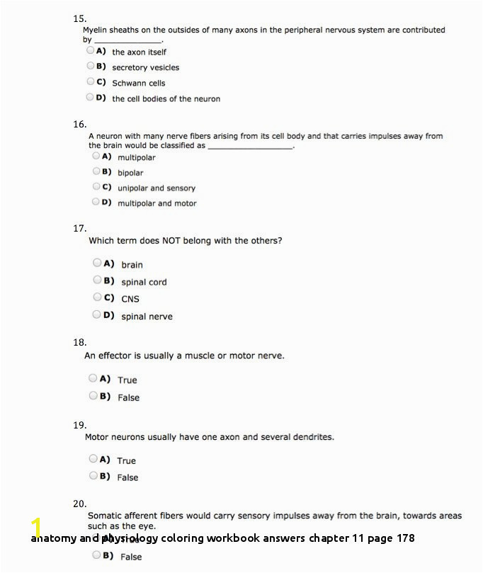 Anatomy and Physiology Coloring Workbook Answers Chapter 11 Page 178 Anatomy and Physiology Coloring Workbook Answers