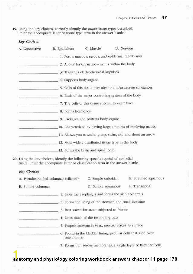 Anatomy and Physiology Coloring Workbook Answers Chapter 11 Page 178 Anatomy and Physiology Coloring Workbook Answers Chapter 11 Page 178