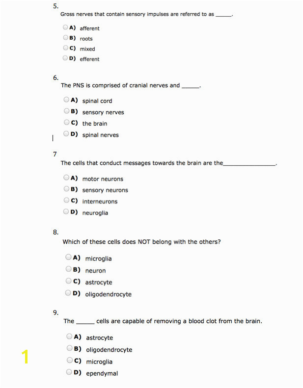 Anatomy and Physiology Coloring Workbook Answers Chapter 11 Page 178 Luxury Anatomy and Physiology Coloring Workbook Answers – Colorfull