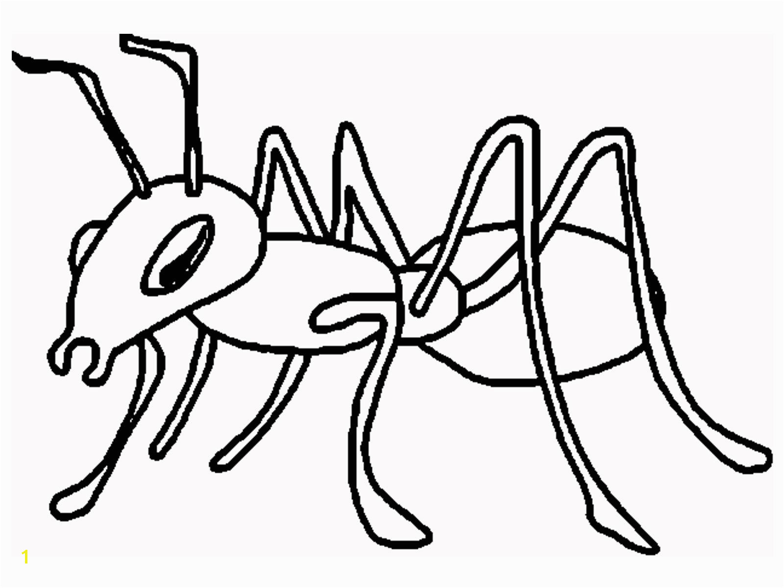 ant coloring page