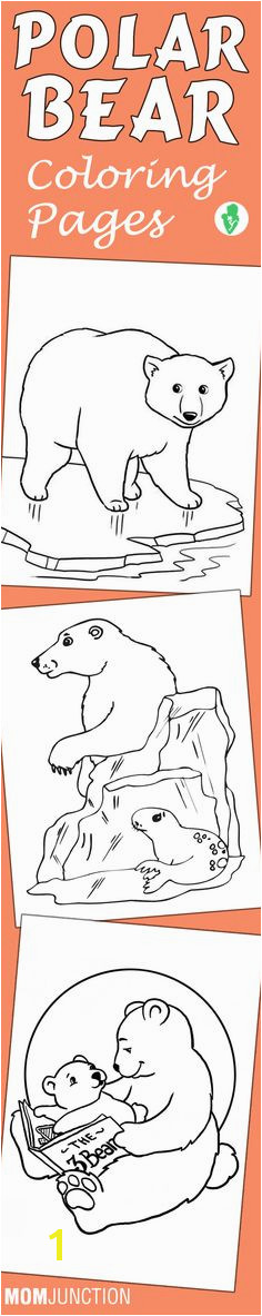 Arctic Animals Coloring Pages 197 Best Eskimos and Polar Animals Images On Pinterest In 2018