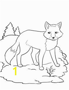 FREE Artic Fox Coloring Page for Kids winter coloring pages Hibernating Animal Worksheet