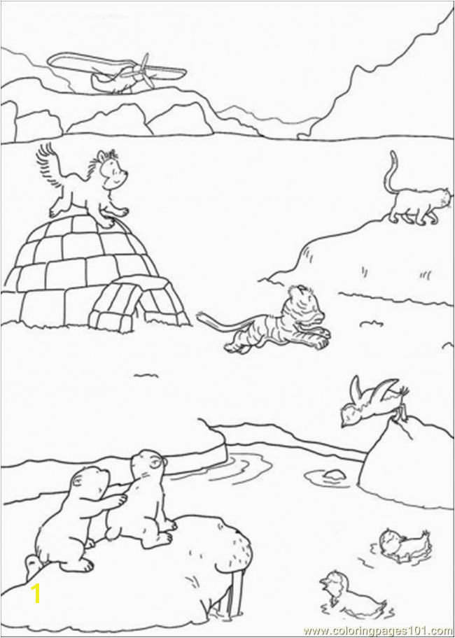 Polar Arctic Animals Coloring Pages