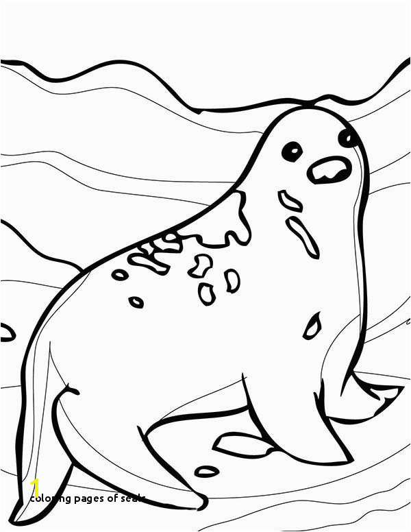 Coloring Pages Seals Ringed Seal Coloring Page Ringed Seal Coloring Page – Coloring Sky