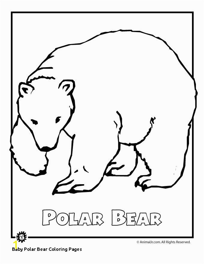 Baby Polar Bear Coloring Pages Arctic Animal Coloring Pages