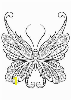 Adult Butterfly Coloring Book