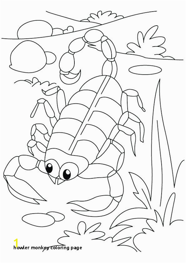 Baboon Coloring Pages Howler Monkey Coloring Page 13 Inspirational Howler Monkey Coloring