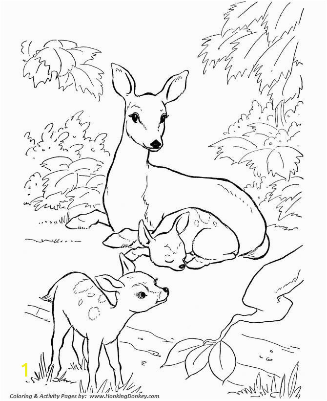 Balaam Donkey Coloring Page Donkey Coloring Page Elegant Summer Season Coloring Pages Summer