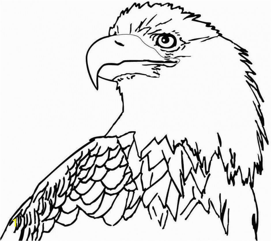 Bald Eagle Coloring Page Best Free Bald Eagle Coloring Pages Az Coloring Pages Inspiration Bald