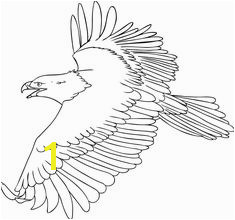 Bald Eagle Coloring Page 51 Best Eagle Coloring Pages Images On Pinterest