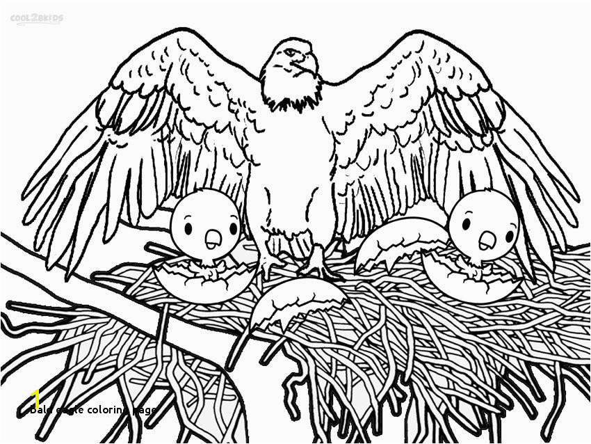 Bald Eagle Coloring Page 11 Bald Eagle Coloring Page