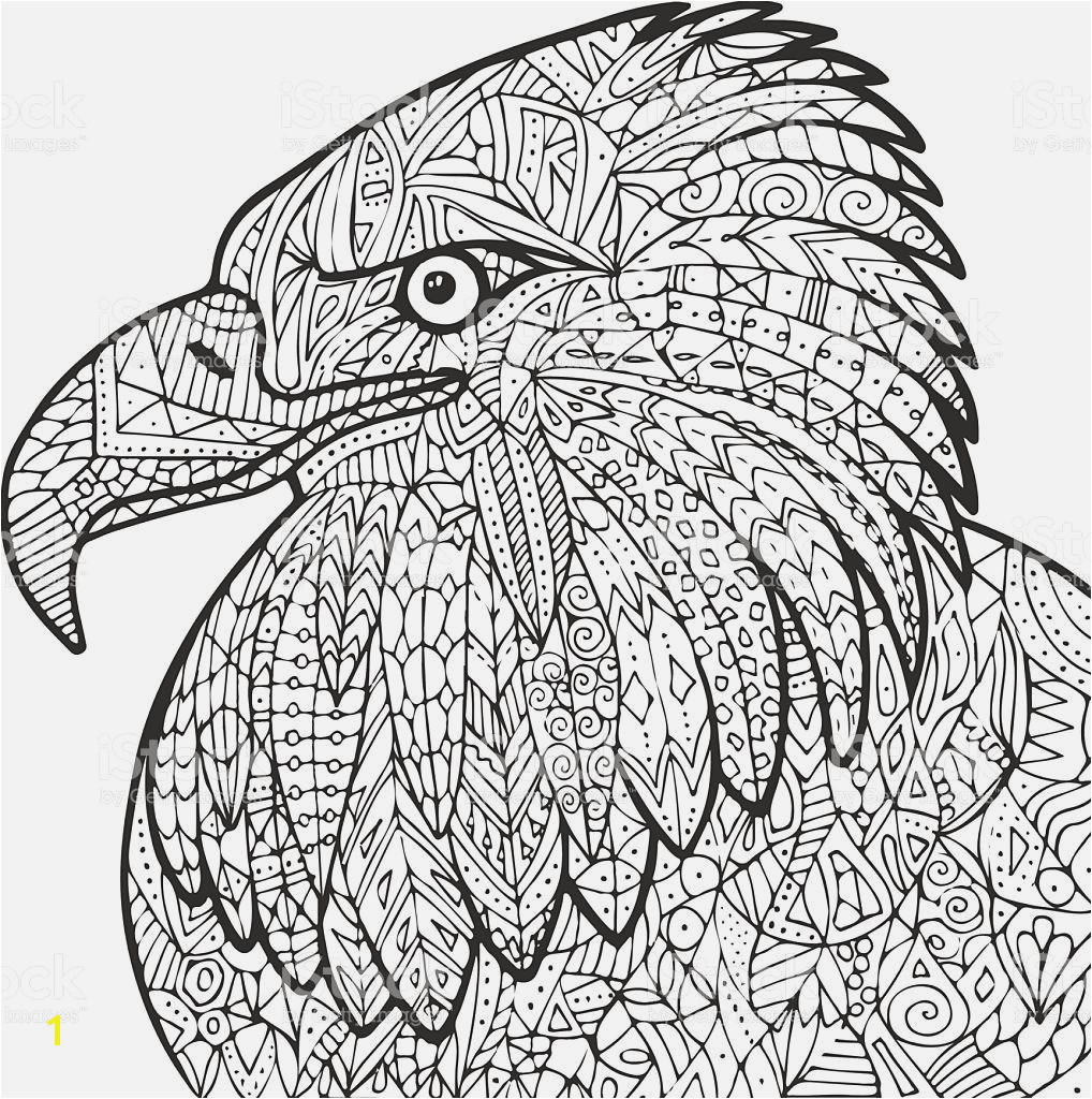 Eagle Coloring Pages Coloring & Activity 18 Elegant Harpy Eagle Coloring Page Eagle Coloring Pages