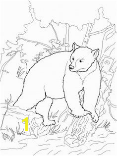 Bear In Cave Coloring Page 137 Best the Book Of the Night World Images On Pinterest