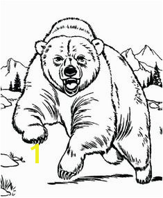 Bear In Cave Coloring Page 2155 Best Images