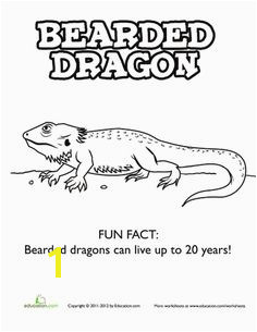 Bearded Dragon Coloring Page