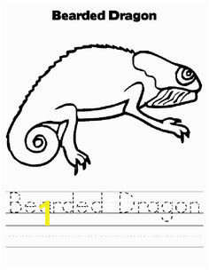 Bearded Dragon coloring page Animals Town animals color sheet Bearded Dragon free printable coloring pages animals