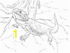 Central Bearded Dragon coloring page