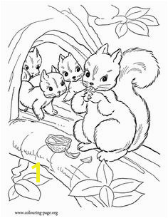 Squirrel coloring page for kids and adults from Mammals coloring pages Squirrel coloring pages