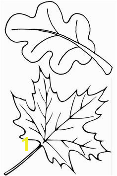Autumn coloring pages to keep the kids busy on a rainy fall day