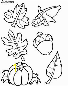 Big Fall Leaves Coloring Pages 104 Best Fall Coloring Pages Images On Pinterest