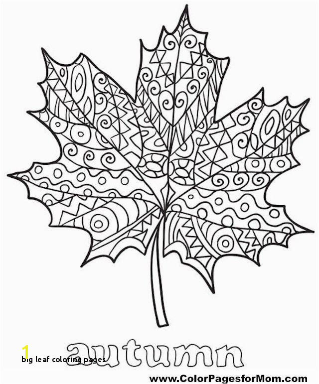 Big Leaf Coloring Pages Awesome Zentangle Coloring Pages Fresh Best