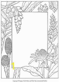 Coloring page with flowers plants around an open area for adding your own elements