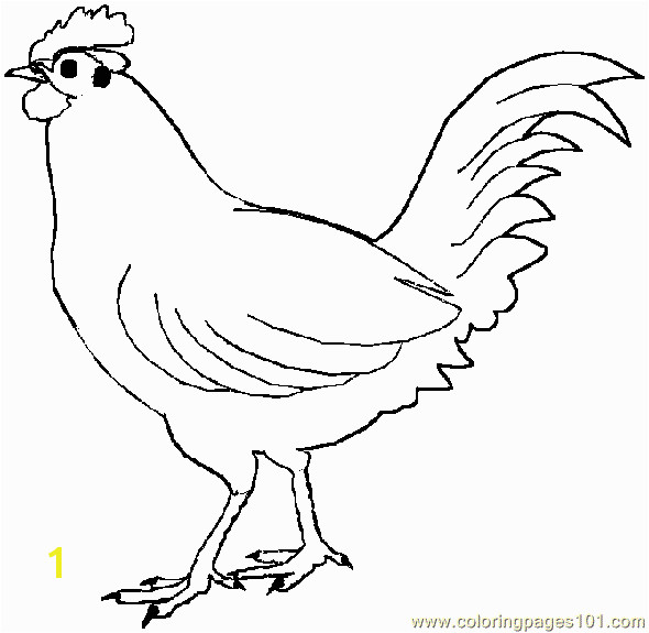 Blue Hen Chicken Coloring Page Free Rooster to Print