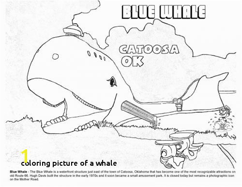 Blue Whale Coloring Page Coloring Picture A Whale Catoosa Oklahoma Blue Whale Coloring