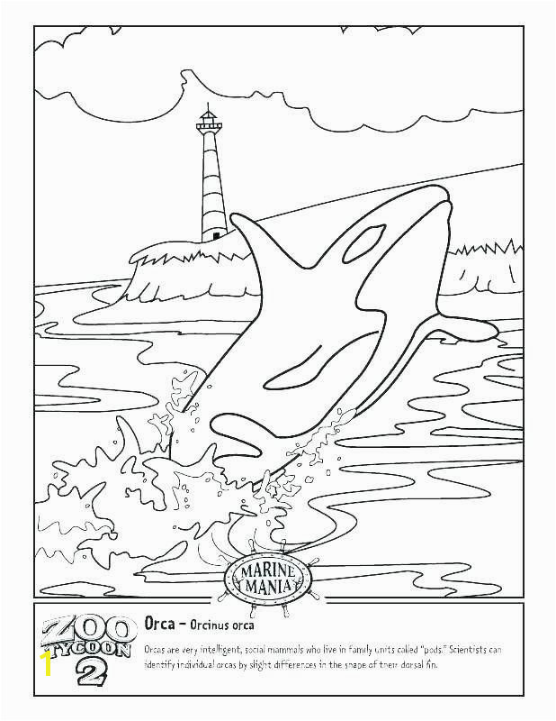 Blue Whale Coloring Page orca Coloring Pages New Blue Whale Coloring Page at Getcolorings