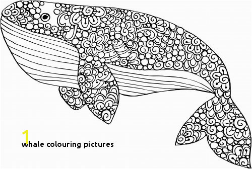 Blue Whale Coloring Page Coloreando Coloring Pinterest