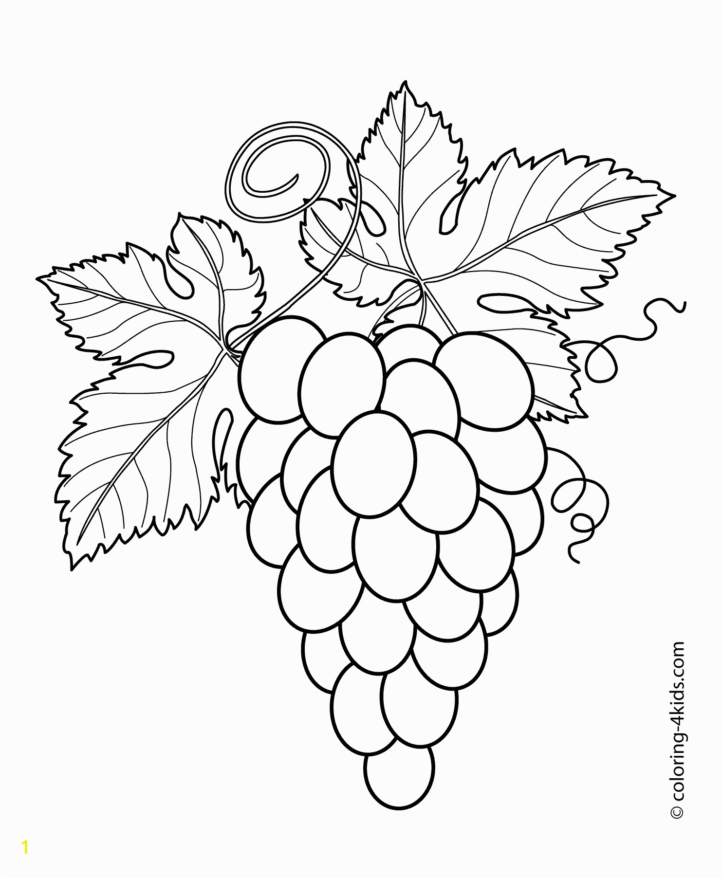 Grapes with leaves fruits and berries coloring pages for kids printable free