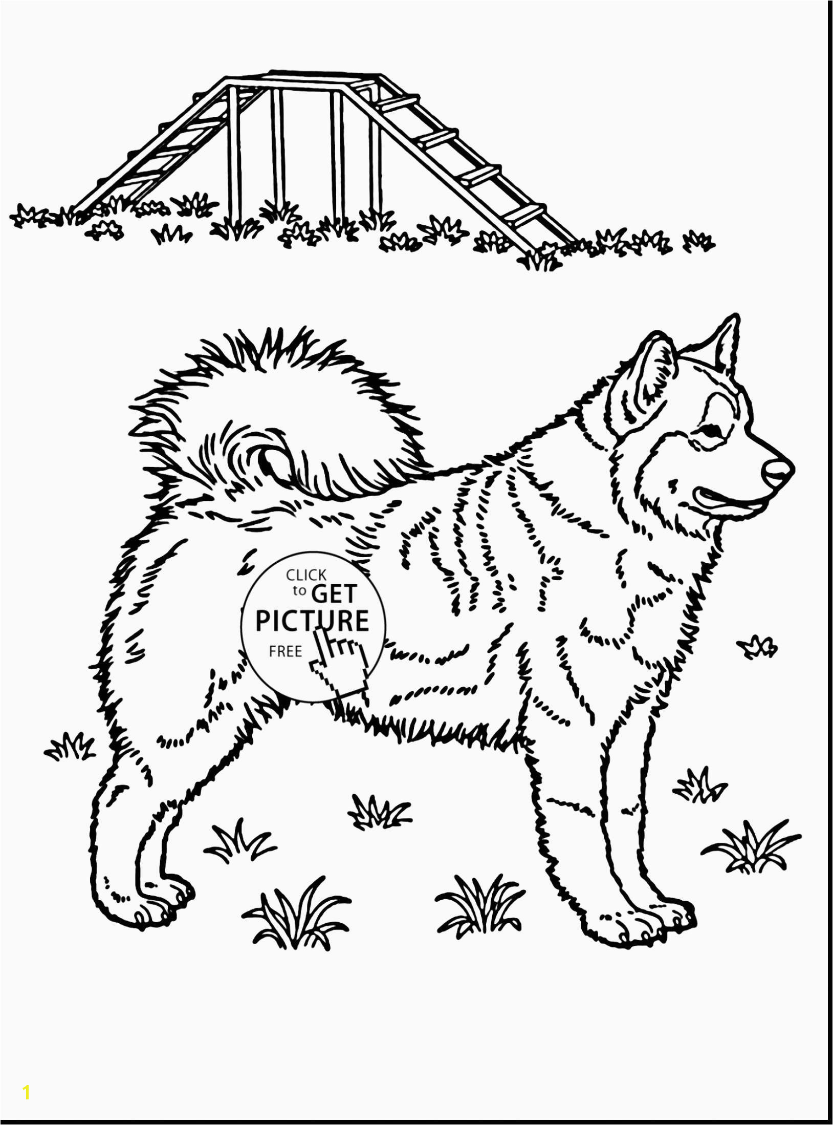 Mermaid Coloring Pages Husky Coloring Pages Beautiful Husky Coloring 0d Free Coloring Pages Fun Time