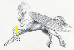 Buckbeak by SpottedPegasus on DeviantArt Pegasus Tattoo Harry Potter Tattoos Harry Potter Quotes