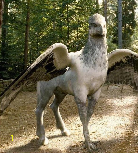 Buck beak the hippogriff Tattoo ideas