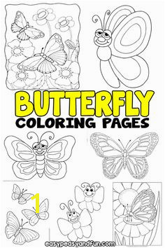 Butterfly Coloring Pages Free Printable from Cute to Realistic Butterflies