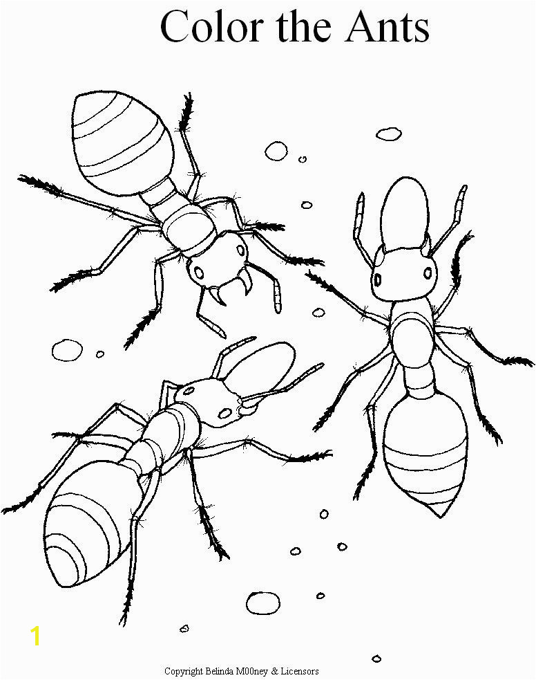 Ant Coloring Pages Printable for Kids