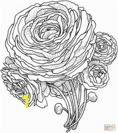 Buttercup Flower Coloring Pages 2623 Besten Flower Coloring Bilder Auf Pinterest