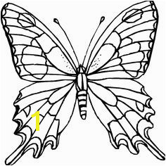 Butterfly Coloring Pages Print 523 Best butterflies to Color Images