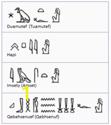 Hieroglyphs for the four sons of Horus used on an Egyptian canopic jar