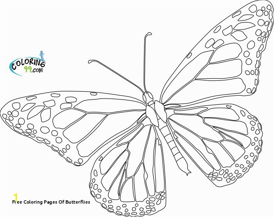 Free Coloring Pages butterflies Cartoon butterfly Coloring Pages Printable Monarch butterfly