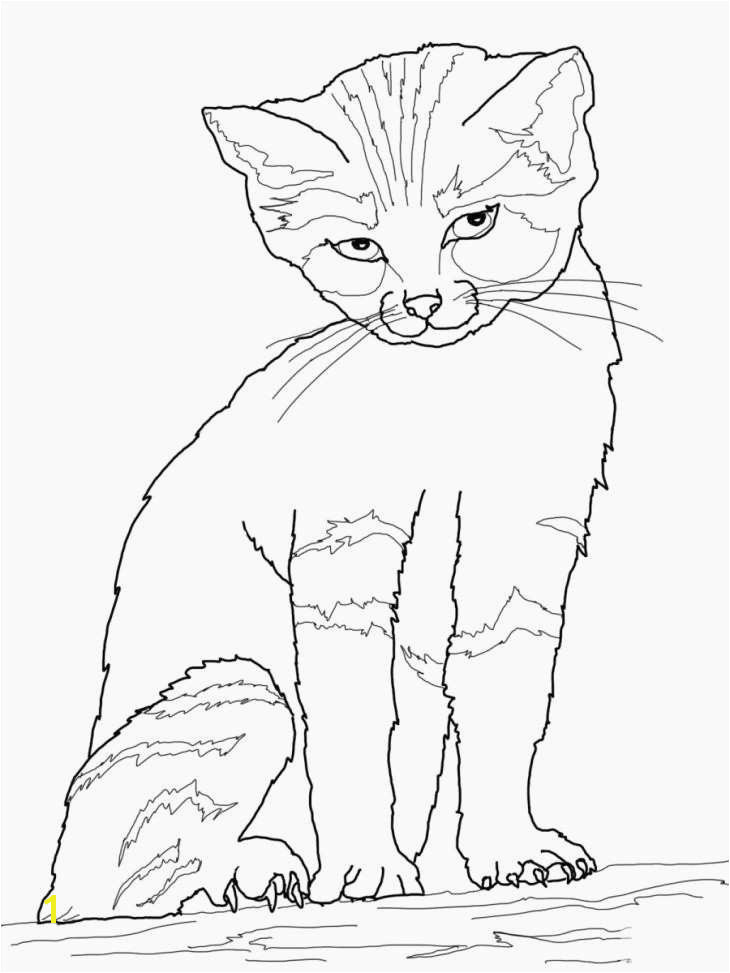 Free Cat Coloring Pages Inspirational Cat Coloring Best New Happy Halloween Coloring Pages Cat