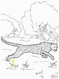 Cheetah coloring page Reise Um Die Welt Animal Coloring Pages Coloring Pages For Kids