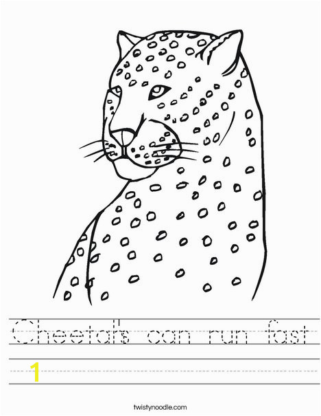 Cheetah Worksheet